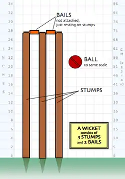 Un wicket : trois stumps surmontés de deux bails