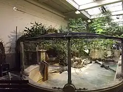 Bassin des crocodiles du Nil dans la galerie.