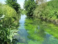 La rigole du Noirieux.