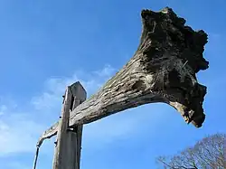 Arbre de l'un des puits à balancier.