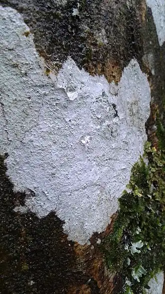 Description de cette image, également commentée ci-après