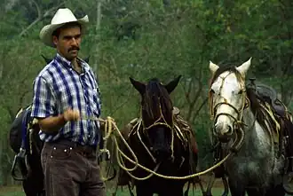 Un homme moustachu au premier plan tient les rênes de deux chevaux, un troisième caché derrière lui.