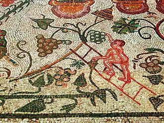 Vendange à Mérida sur une vigne en hautain.