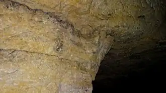 Traces sous plafond de l’inondation de 1911.