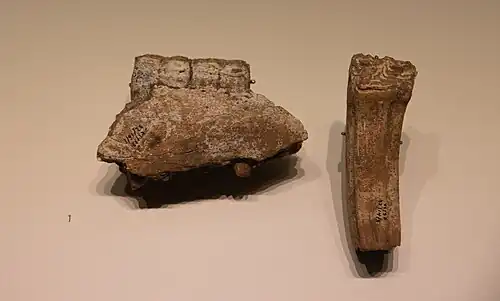 Mandibule et molaire de cheval.