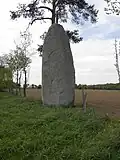 Le menhir de la Pierre-Longue.