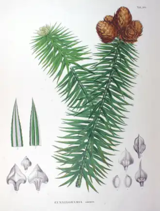 Description de cette image, également commentée ci-après