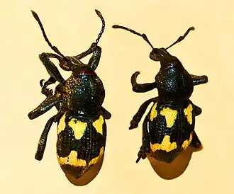 Description de cette image, également commentée ci-après