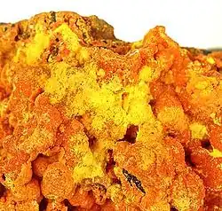 bel échantillon minéral orange vif (francevillite) rehaussé de jaune d'or (curiénite). Dimension de l'échantillon complet :  7.7 x 6.4 x 3.7 cm