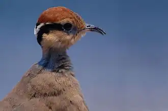 Description de cette image, également commentée ci-après