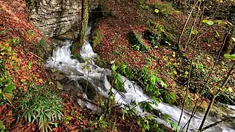 La source de la Goulue.