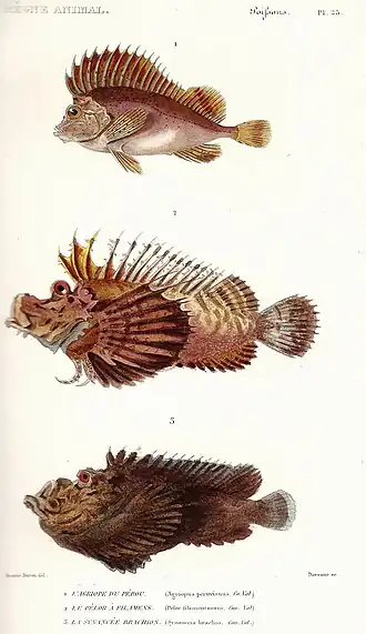 Description de cette image, également commentée ci-après