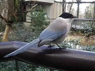 Description de cette image, également commentée ci-après