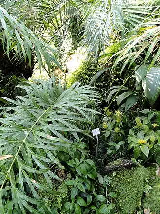 Description de cette image, également commentée ci-après