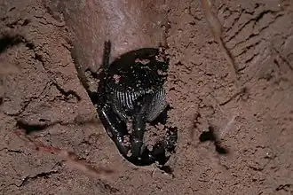 Description de cette image, également commentée ci-après