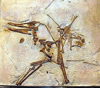 Description de cette image, également commentée ci-après