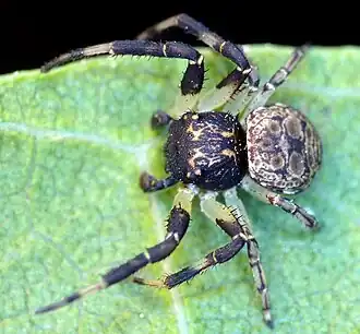 Description de cette image, également commentée ci-après