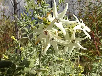 Description de cette image, également commentée ci-après