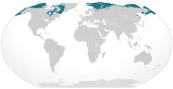 Planisphère de couleur grise représentant en bleu la présence du Bélouga dans le monde (essentiellement l'océan Arctique).