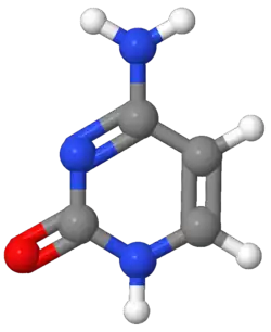 Image illustrative de l’article Cytosine