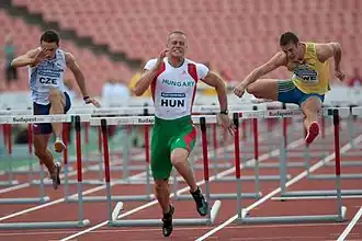 Image illustrative de l’article Dániel Kiss