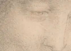 À partir du dessin, gros plan sur la pommette, l'œil et le nez de sainte Anne.