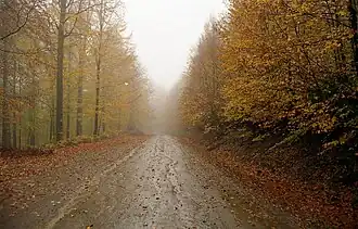 Gölyaka