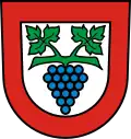 Blason de Büsingen am Hochrhein