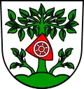Blason de Buchen (Odenwald)