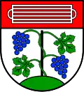 Blason de Großlangenfeld