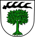 Blason de Ilsfeld