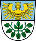 Blason de Leinburg