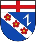 Blason de Platten
