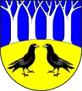 Blason de Rabenholz