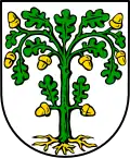 Blason de Rinnthal