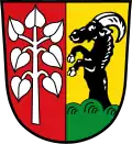 Blason de Schwifting