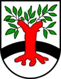 Blason de Surwold