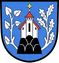 Blason de Waldkirch