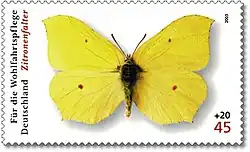Timbre de la poste allemande, le Gonepteryx rhamni.