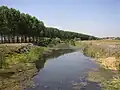 Le canal Danube-Tisa-Danube près de Skorenovac