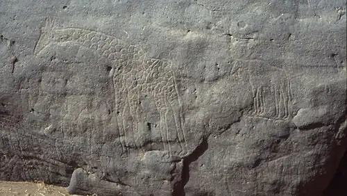 Petits pétroglyphes près des girafes de Dabous