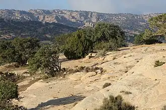 Description de cette image, également commentée ci-après