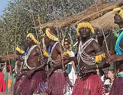 Danseurs à Ngaoundéré (Cameroun)
