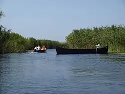Un bras du Danube dans son delta, avec une lotca traditionnelle.