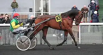 Image illustrative de l’article Davidson du Pont