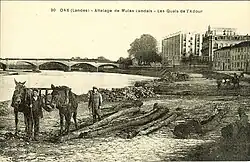 Les quais avec le Splendid