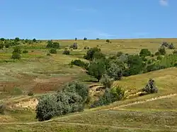 Raion de Rezina, Moldavie, 2013