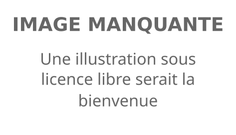 Image illustrative de l’article Historia Mathematica