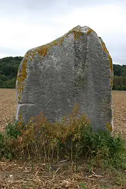 Le menhir dénommé la Demoiselle de Rhuis.