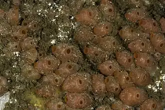 Description de cette image, également commentée ci-après